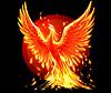 Phoenix Rising's Avatar